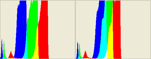 How to Get White Balance Correct In-Camera—Every Time! | Envato Tuts+