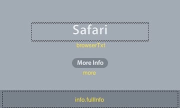 detect browser and user agent flash