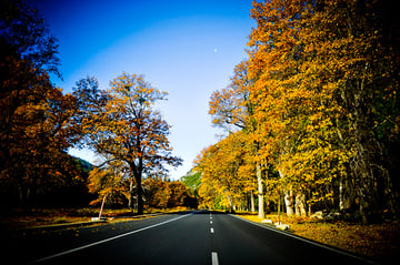 Flash AS3 multitouch gestures