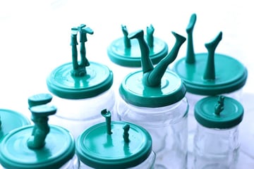 final-leggy jars2 copy