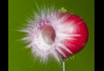 high speed photography