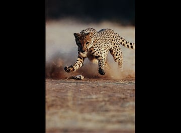 high speed photography