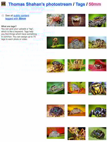 50mm prime lens photography