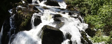 new photographer beginner tips