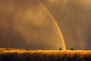 rainbow photography tips