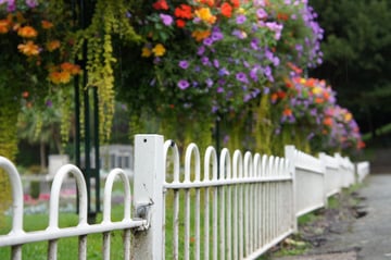 sony nex-3 camera review