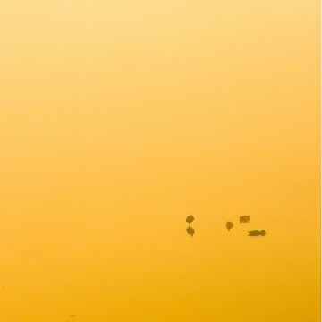 minimalist photography