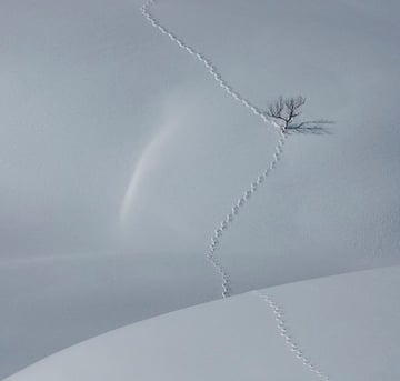 minimalist photography