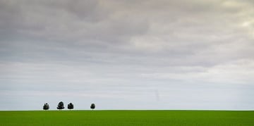 minimalist photography