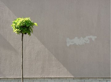 minimalist photography
