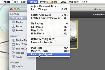 Revert to Original Image