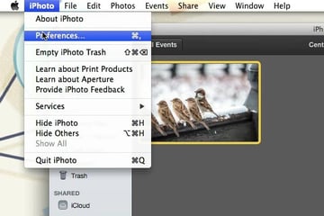 iPhoto Preferences