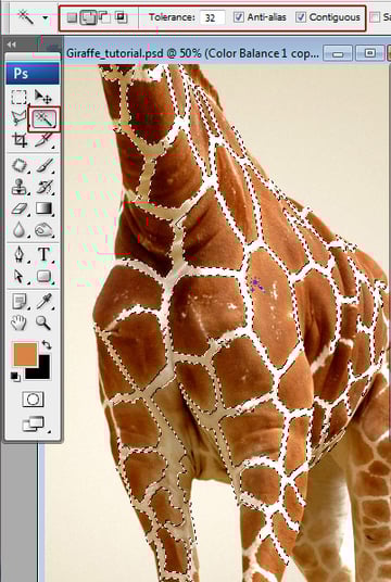 Undress a Giraffe in Photoshop