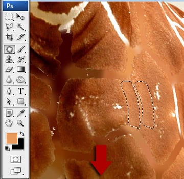 Undress a Giraffe in Photoshop