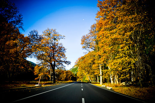 Flash AS3 multitouch gestures