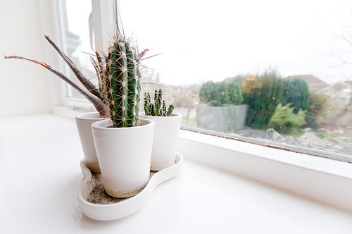 ebay auction photography