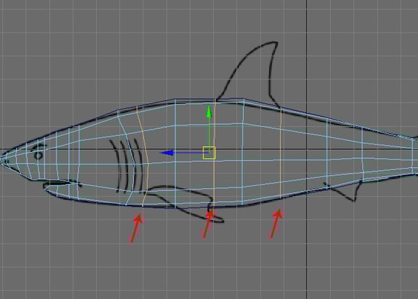 Maya_Shark_PT1_32