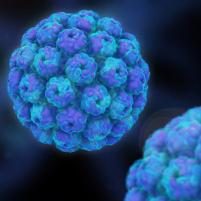 Building Accurate Virus Structures in Maya using the Molecular Maya Toolkit