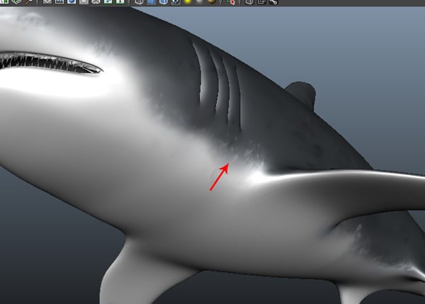 Maya_Shark_PT2_43