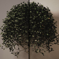 Occlusion Shading Opacity Mapped Geometry In Maya