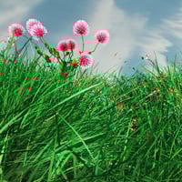 Animating Grass and Flowers Using Paint Effects in Maya