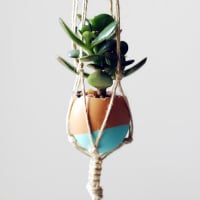 Make Your Own Mini Macrame Succulent Egg Decorations for Easter