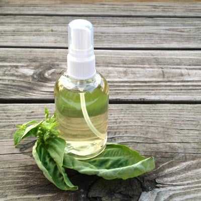 Quick Tip: Make a Facial Toner With Fresh Basil