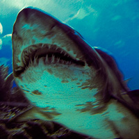 10 Smart Javascript Techniques to Improve Your UI