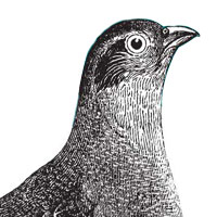 Die Grundlagen für das Schreiben von hochwertigem JavaScript 