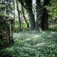 Envisioning & Shooting an Environmental Portrait