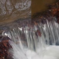 Quick Tip: Kill Reflections and Enhance Colors with a Polarizer