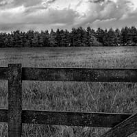 How to Achieve Soft Contrast in Your Images