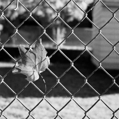 Entendiendo el control del contraste en el cuarto oscuro