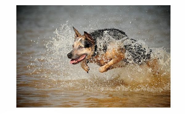 high speed photography