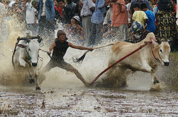 high speed photography