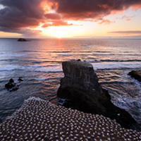 An Introduction to Exposure Blending with RAW