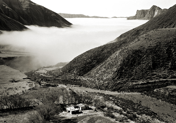 50mm prime lens photography