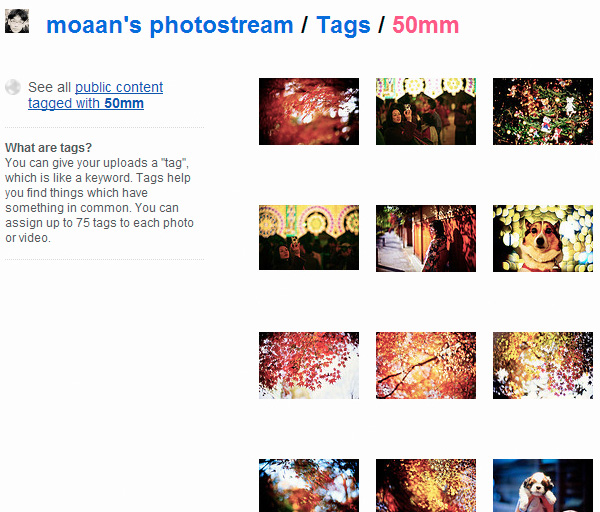 50mm prime lens photography