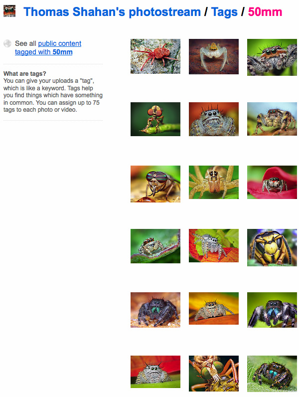 50mm prime lens photography