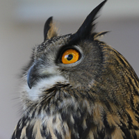 20 أسئلة وأجوبة للمصورين الجدد