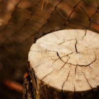 6 Elements of Design for Striking Photographs