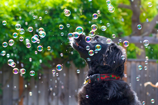 items to bring to a photo shoot