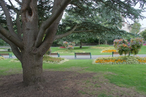 sony nex-3 camera review