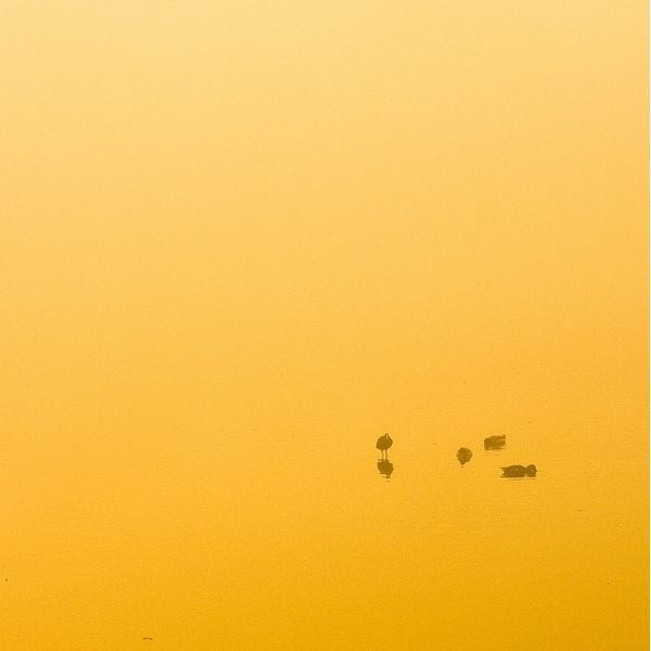 minimalist photography