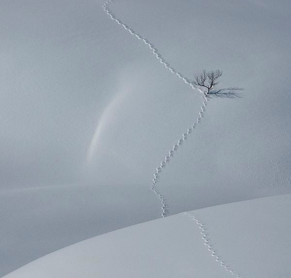 minimalist photography