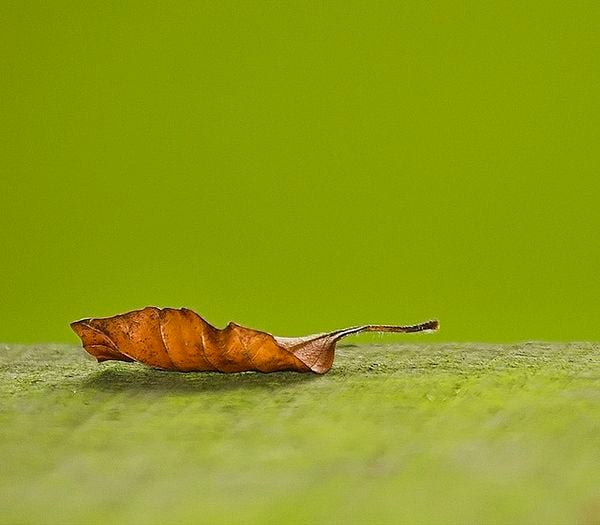 minimalist photography