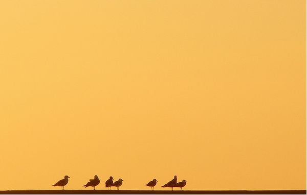 minimalist photography