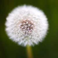 The Art of Using Backgrounds to Create Moody Photos