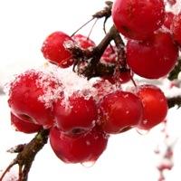 Quick Tip: How to Capture the Cold in Your Photographs