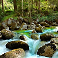 Quick Tip: Capturing Movement in Water